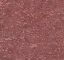 Geo plus - Image 4