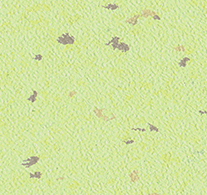 Chronos tx - Image 11