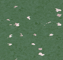 Chronos plus - Image 13