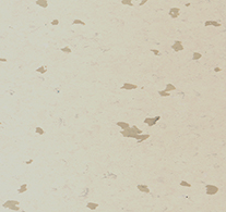 Chronos plus - Image 14