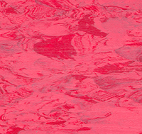 Sustenta mt - Image 10