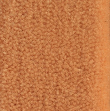 B 205