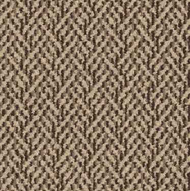 BB3004