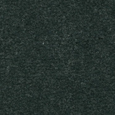 PL 300