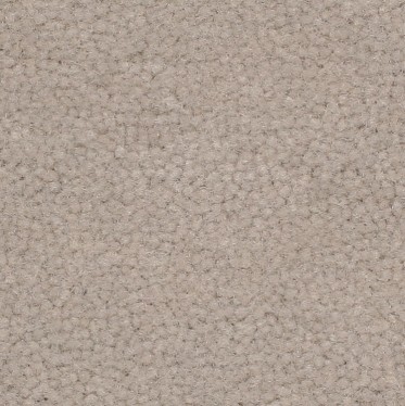 PL 320