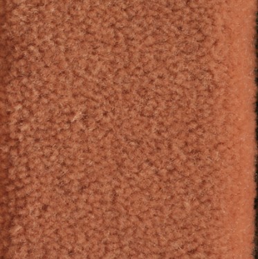 R 205
