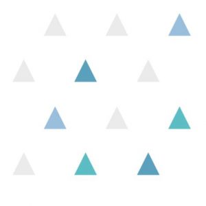 06/001