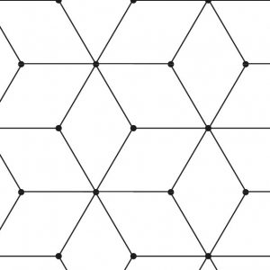 06/0016