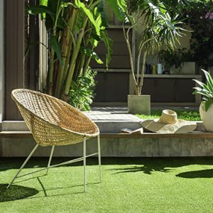 Grass 20