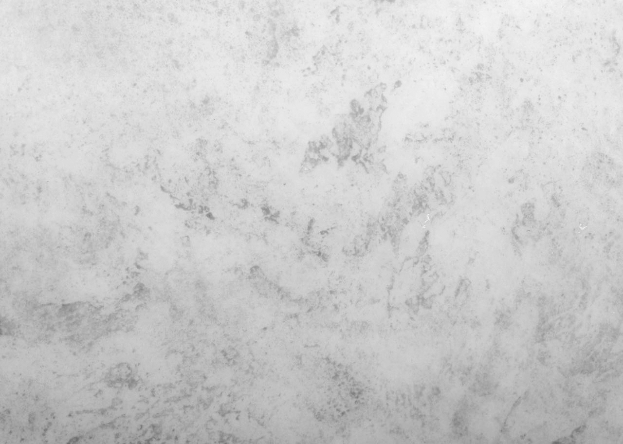 Altica - Image 3