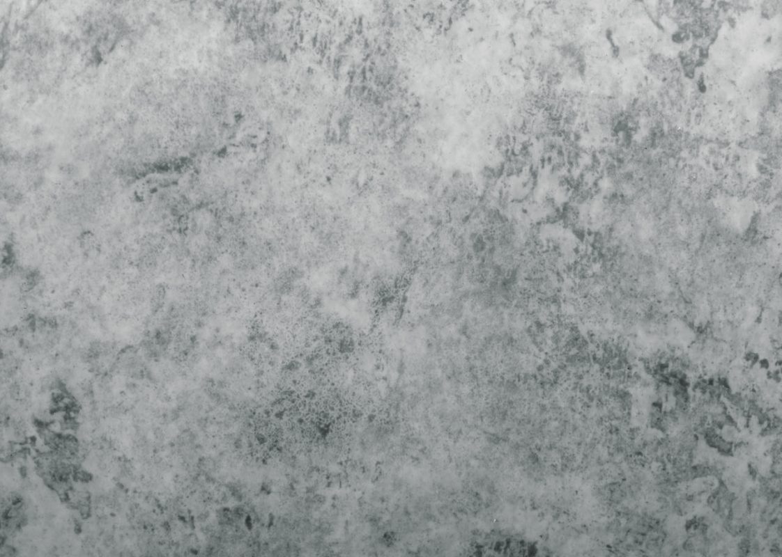 Altica - Image 4