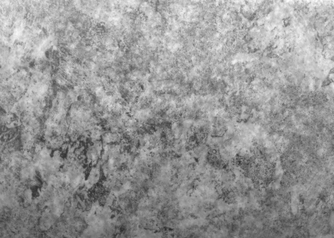 Altica - Image 5