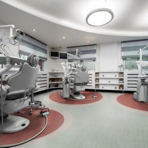 Linea Standar Plus