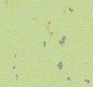 Chronos TX se - Image 11