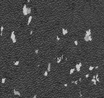 Chronos TX se - Image 25