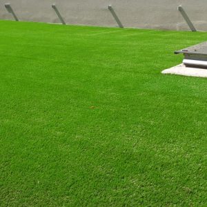 Grass 25
