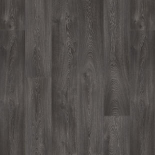 Iconik 150 - Image 4