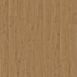 Iconik 150 - Image 5