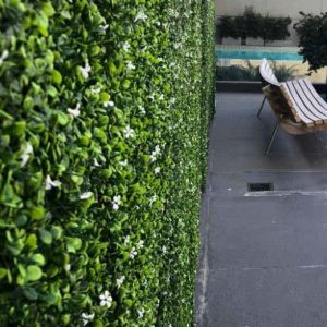 Muros verdes