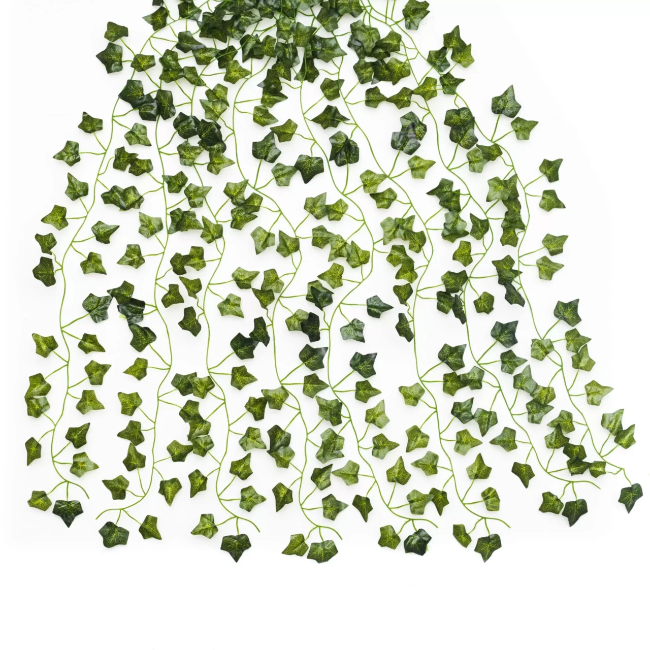 Enredadera rosarina