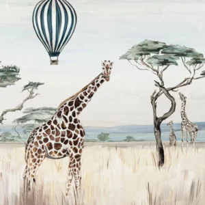Africa