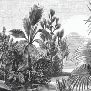 Tropico