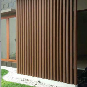Co-extruded