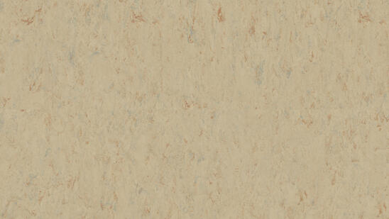 Linoleum - Image 7
