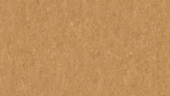 Linoleum - Image 8