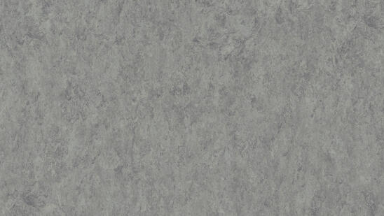 Linoleum - Image 10