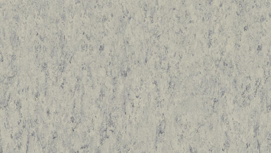 Linoleum - Image 11
