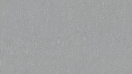 Linoleum - Image 12