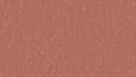 Linoleum - Image 13