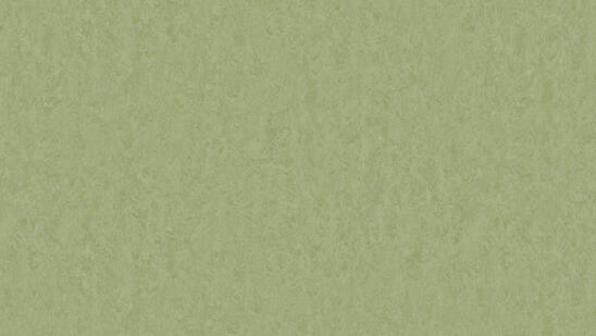 Linoleum - Image 14