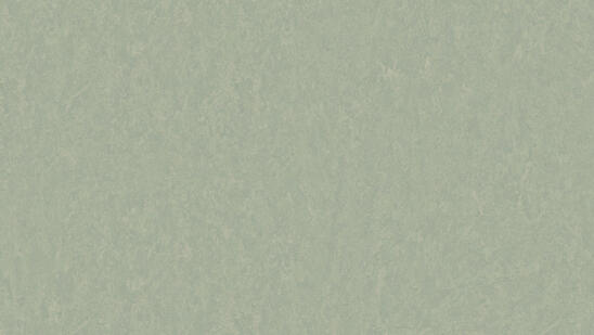 Linoleum - Image 15
