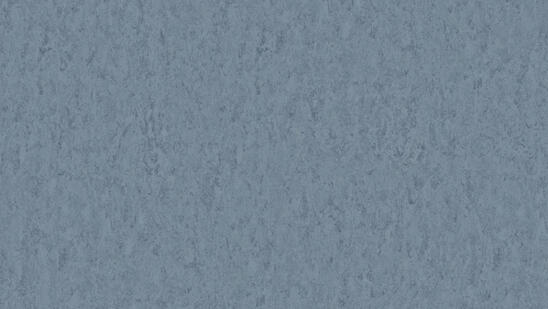 Linoleum - Image 16
