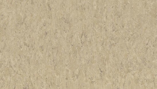 Linoleum - Image 3